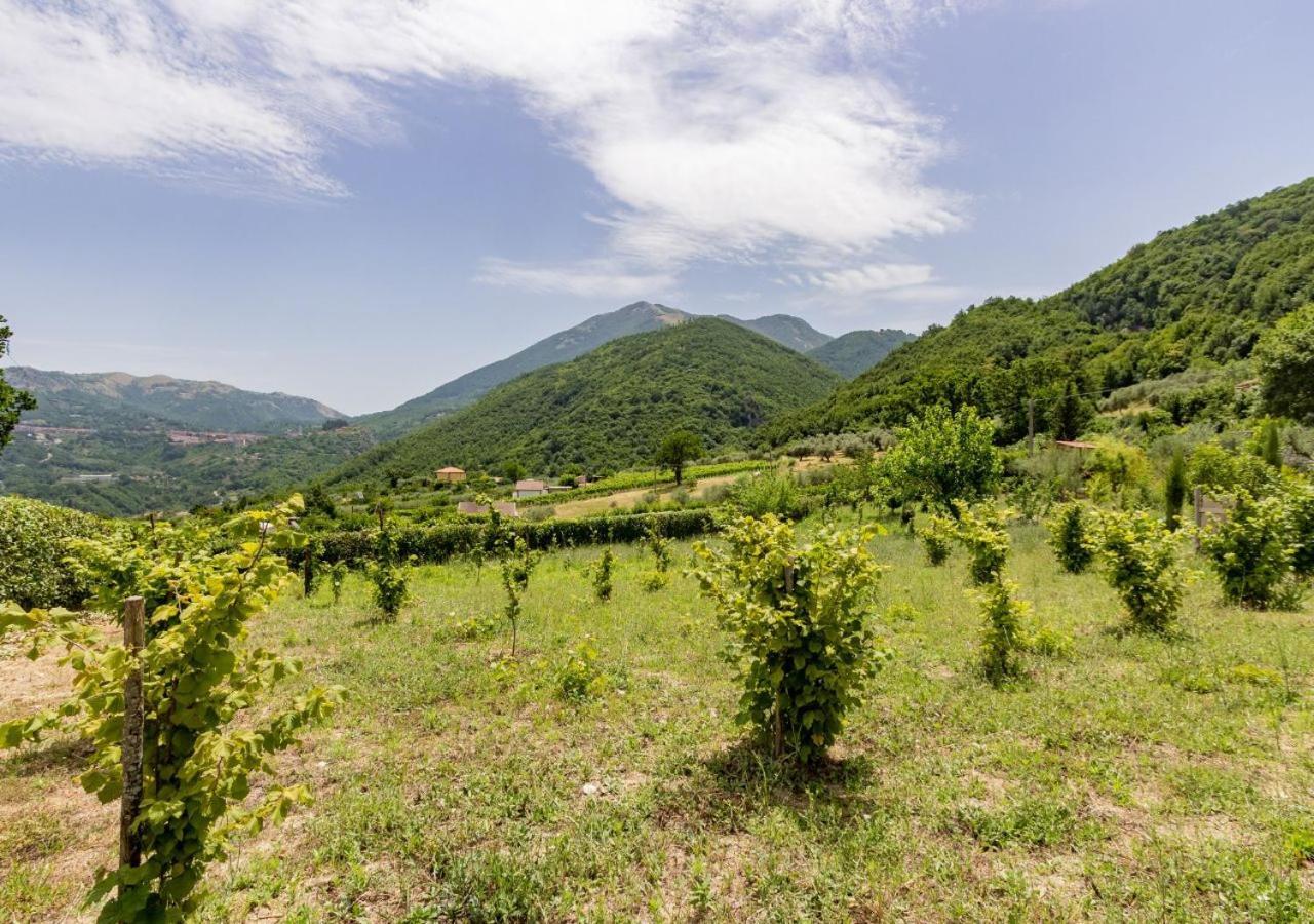 Soggiorno - La Vammora Laviano Esterno foto